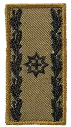 Brigadier (Br)