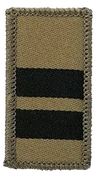 Oberstleutnant (Oberstlt)